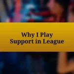 Why I Play Support in League