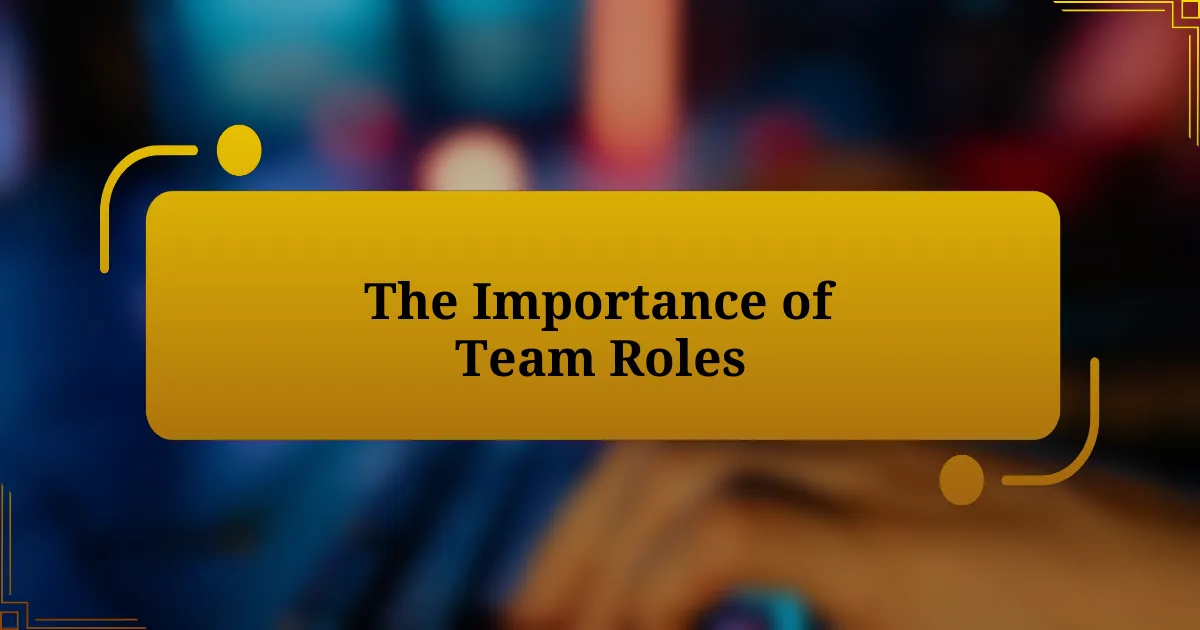 The Importance of Team Roles